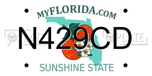 N429CD Florida License Plate