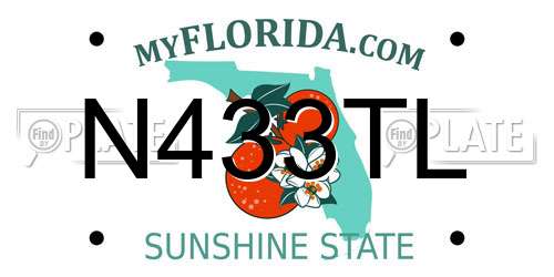 N433TL Florida License Plate