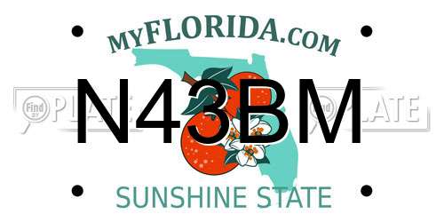 N43BM Florida License Plate