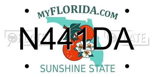 N441DA Florida License Plate