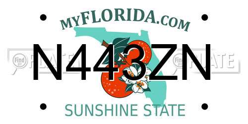 N443ZN Florida License Plate