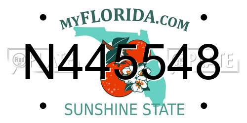 N445548 Florida License Plate