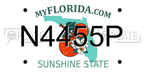 N4455P Florida License Plate