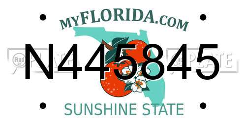 N445845 Florida License Plate