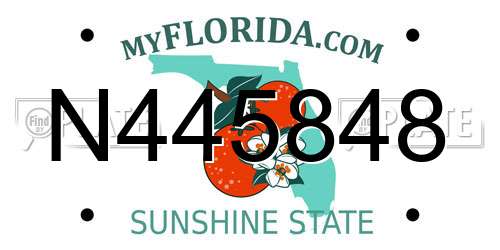 N445848 Florida License Plate