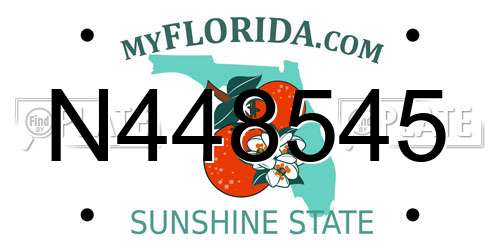 N448545 Florida License Plate