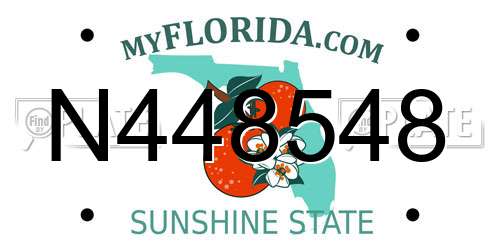 N448548 Florida License Plate
