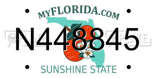 N448845 Florida License Plate