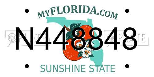 N448848 Florida License Plate