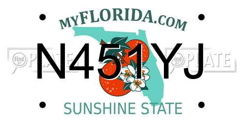 N451YJ Florida License Plate