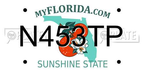 N453TP Florida License Plate