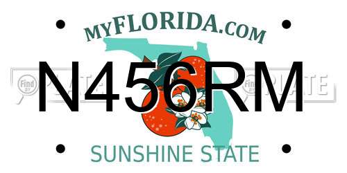 N456RM Florida License Plate