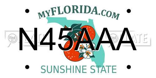 N45AAA Florida License Plate