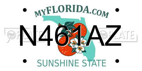 N461AZ Florida License Plate