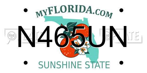 N465UN Florida License Plate