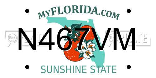 N467VM Florida License Plate