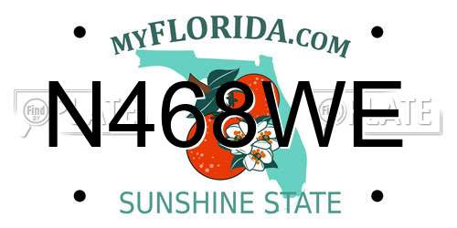N468WE Florida License Plate