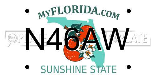 N46AW Florida License Plate