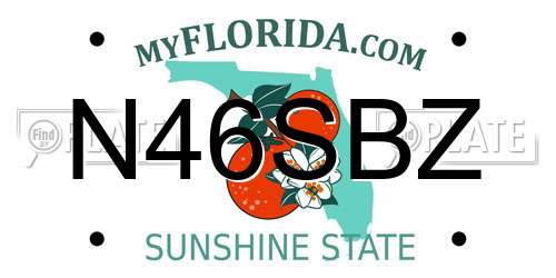 N46SBZ Florida License Plate