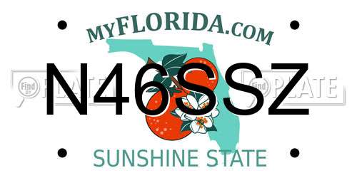 N46SSZ Florida License Plate
