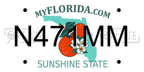 N471MM Florida License Plate