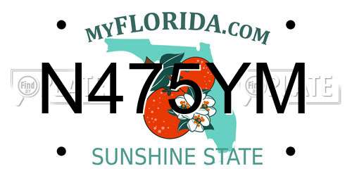 N475YM Florida License Plate