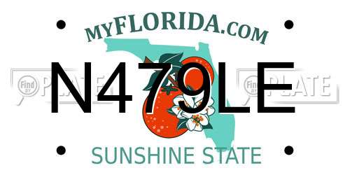 N479LE Florida License Plate