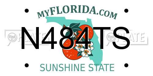 N484TS Florida License Plate