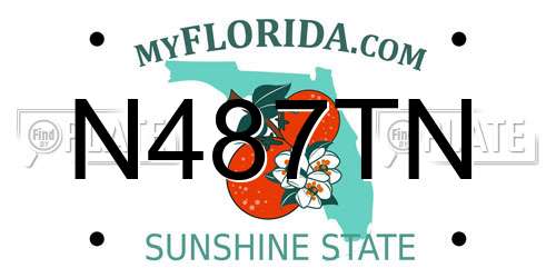N487TN Florida License Plate