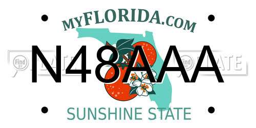 N48AAA Florida License Plate