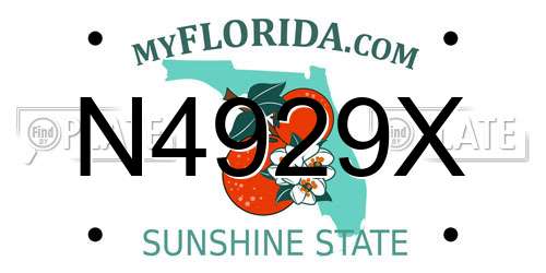 N4929X Florida License Plate