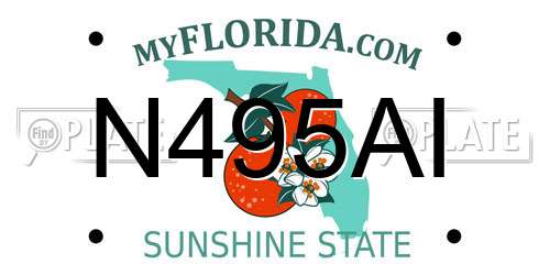 N495AI Florida License Plate