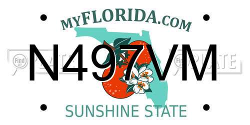 N497VM Florida License Plate