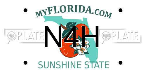 N4H Florida License Plate