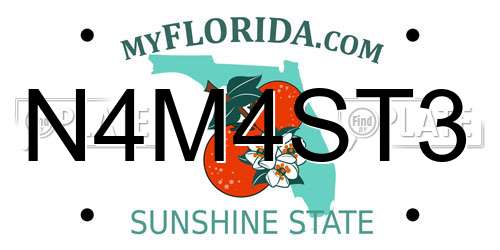 N4M4ST3 Florida License Plate