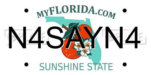 N4SAYN4 Florida License Plate