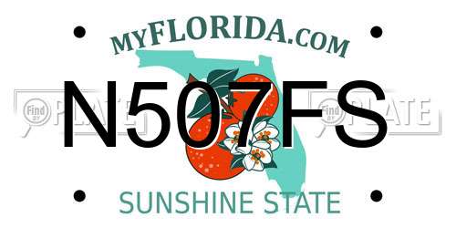 N507FS Florida License Plate