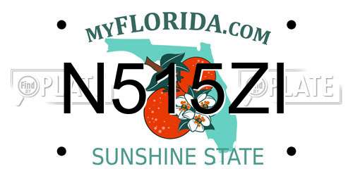 N515ZI Florida License Plate