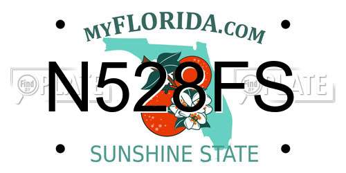 N528FS Florida License Plate