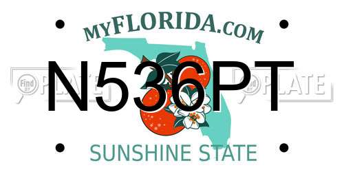 N536PT Florida License Plate