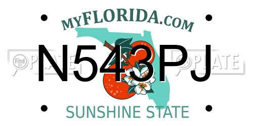N543PJ Florida License Plate