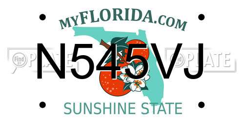 N545VJ Florida License Plate