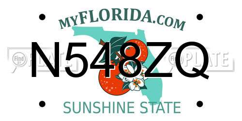 N548ZQ Florida License Plate