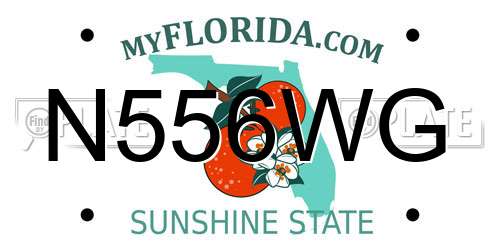 N556WG Florida License Plate
