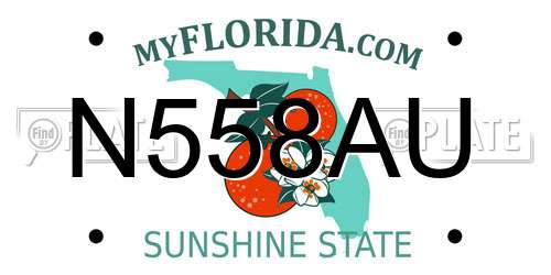 N558AU Florida License Plate
