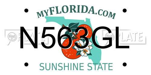 N563GL Florida License Plate