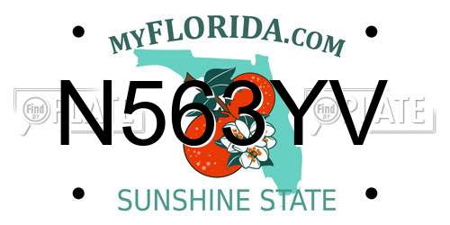 N563YV Florida License Plate