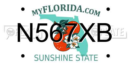 N567XB Florida License Plate