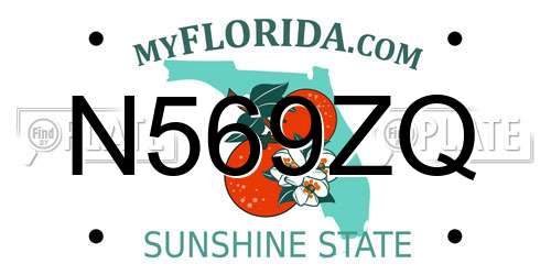 N569ZQ Florida License Plate