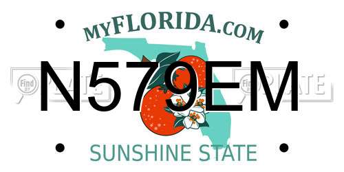 N579EM Florida License Plate